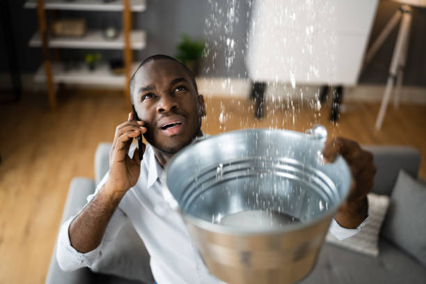 Best 24/7 water damage repair  in Elkins Rk, PA