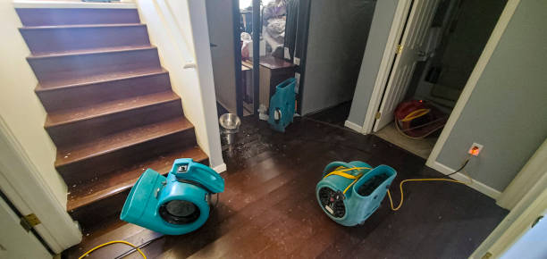 Best Flood restoration services  in Elkins Rk, PA