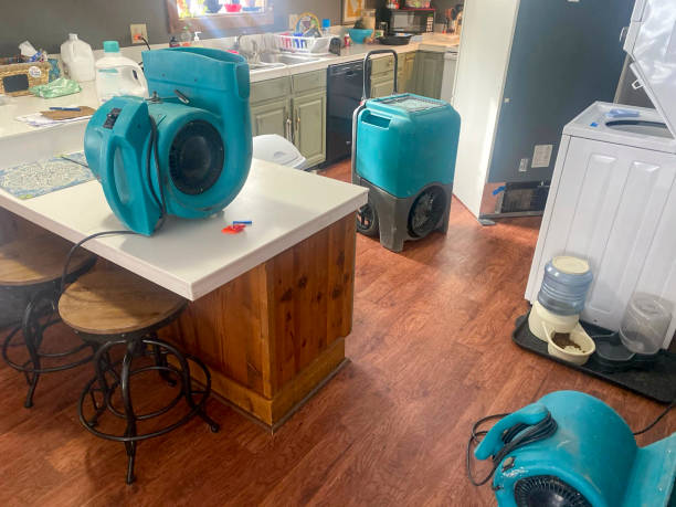 Professional Water damage restoration in Elkins Park, PA