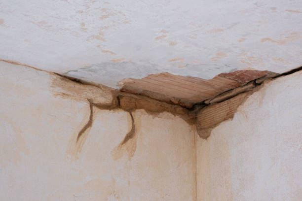 Best Water damage restoration near me  in Elkins Rk, PA