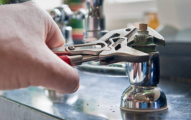 Best Water damage contractors near me  in Elkins Rk, PA