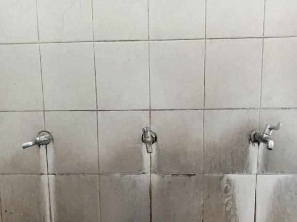 Best Water damage restoration process  in Elkins Rk, PA