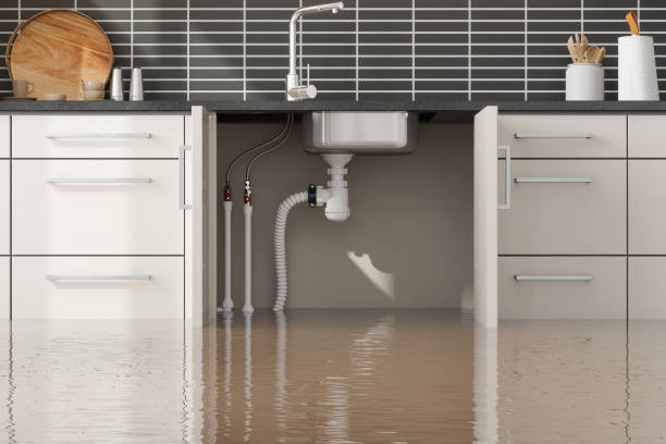 Best Flood damage cleanup  in Elkins Rk, PA