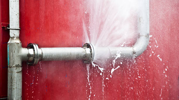 Best Local water damage restoration  in Elkins Rk, PA