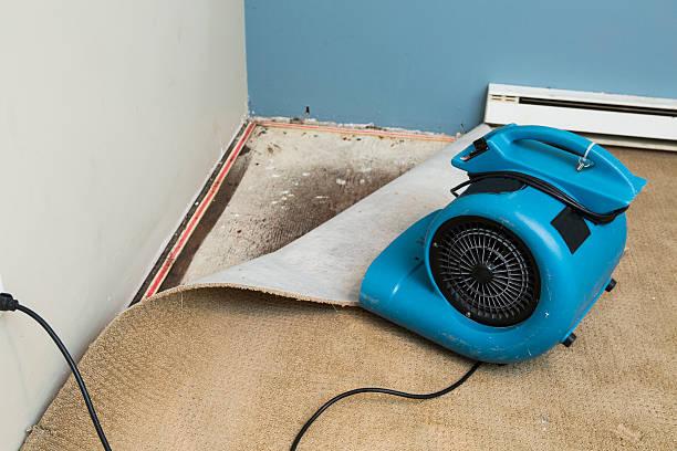 Best Commercial water damage restoration  in Elkins Rk, PA